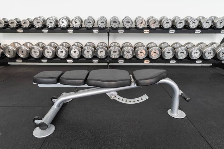 Luxury Large Modern London Townhouse: Cinema, Gym gallery image 5