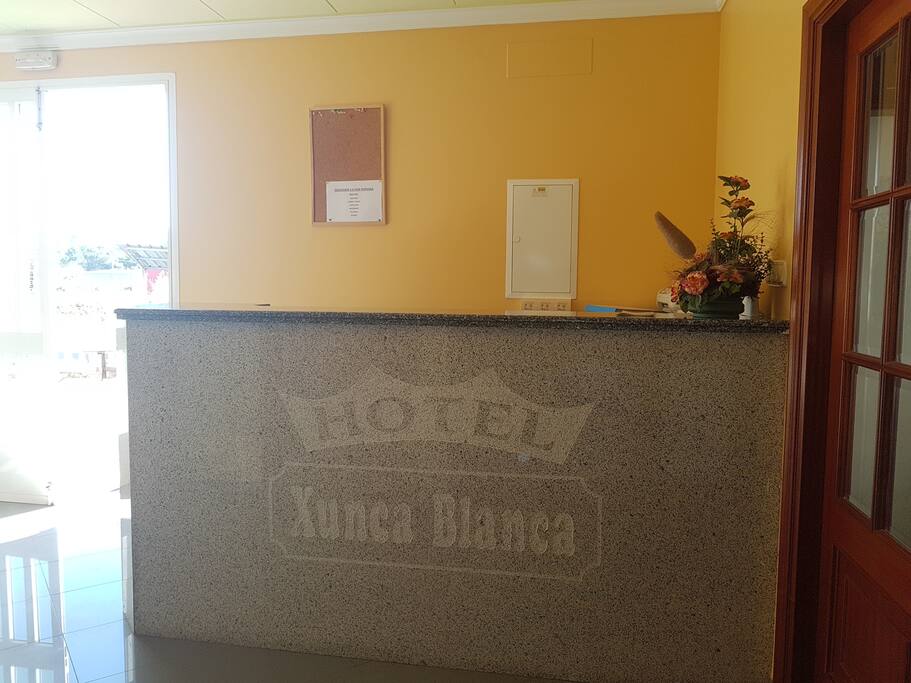 recepción
