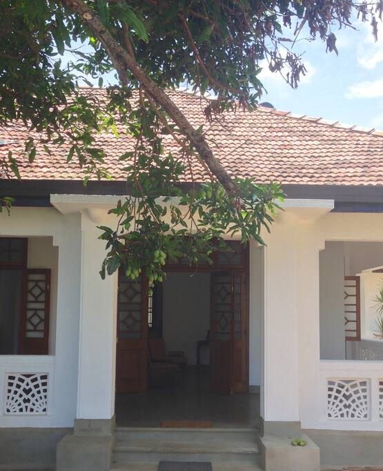 Main entrance through the tropical front garden