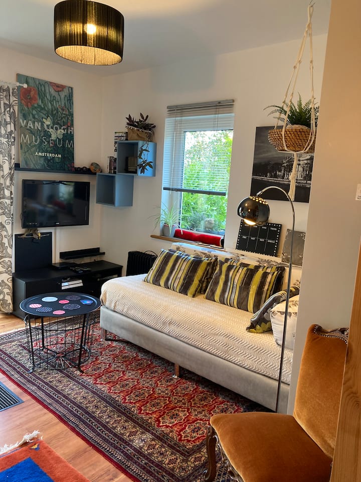 舒适的休息区，配备电视（爱尔兰频道/收音机）、Netflix和DVD蓝光播放器的ROKU Stick。 窗户面向前院的花园。 