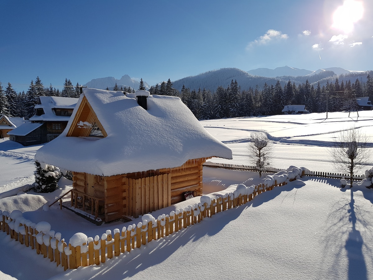 A traditional wooden cottage is surrounded by a blanket of snow, with a white roof glistening under clear blue skies. Snow-covered trees and a fenced yard enhance the serene landscape. Distant mountains and open fields provide a tranquil backdrop.