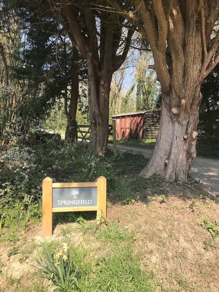 The Nest in South Downs photo 2