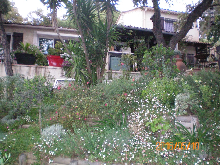 Maison et Jardin