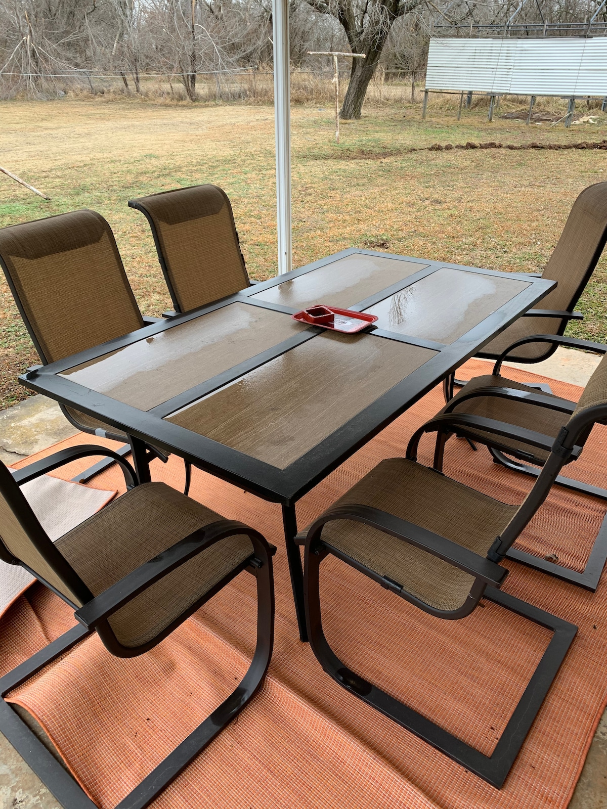 An outdoor dining set is shown with a rectangular table and six chairs, arranged on a textured orange rug. The table's surface appears smooth and reflective, while the surrounding backyard is visible, featuring a grassy area and trees in the background.