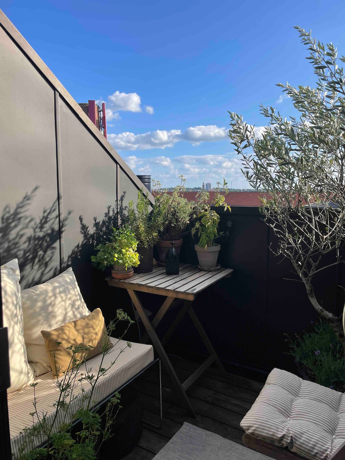 A private rooftop terrace is shown, featuring a small wooden table beside comfortable seating adorned with cushions. Potted plants, including herbs and olive trees, create a greenery-filled space, while blue skies and scattered clouds are visible in the background.