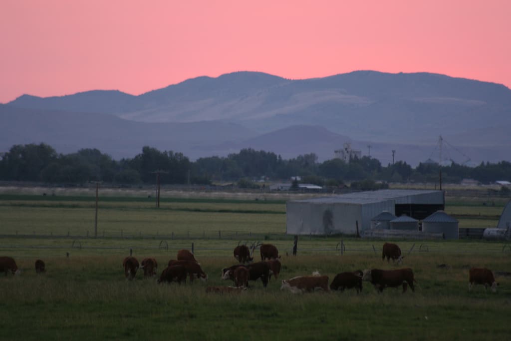 Evening view of the Upper Snake River Valley to the west