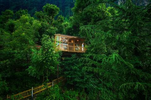 Latoda The Tree House Jibhi,The Tree Cottage Jibhi