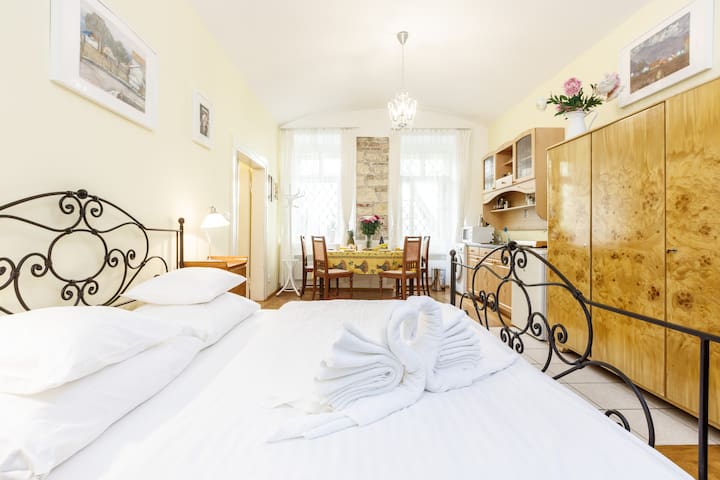 Silent Apartment in Heart of Prague