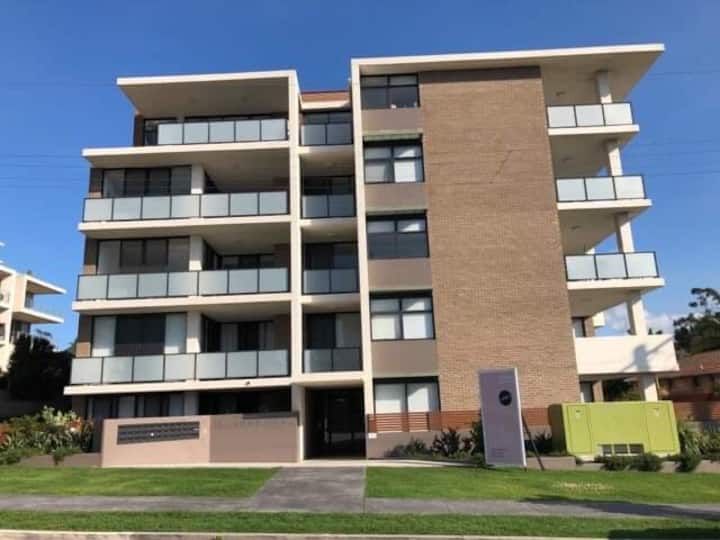 Top 2 Pet & DogFriendly In Wollongong, Australia