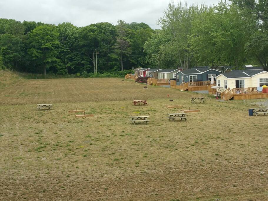 Our very large outdoor space