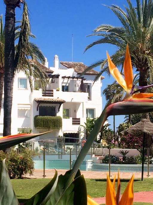 Clear view of our apartment (top right) across the gardens and swimming pool.
