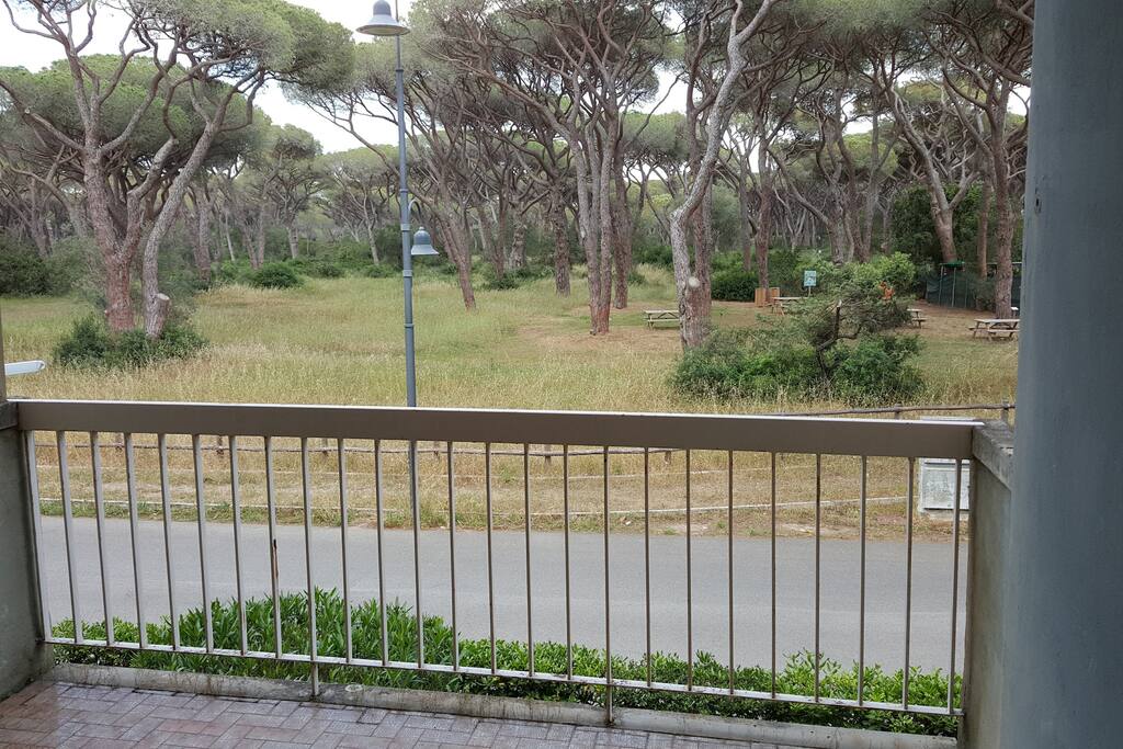 il balcone che si affaccia sulla pineta