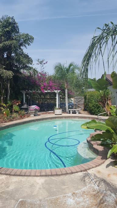 Beautiful pool and surround for guest use, weather permitting.