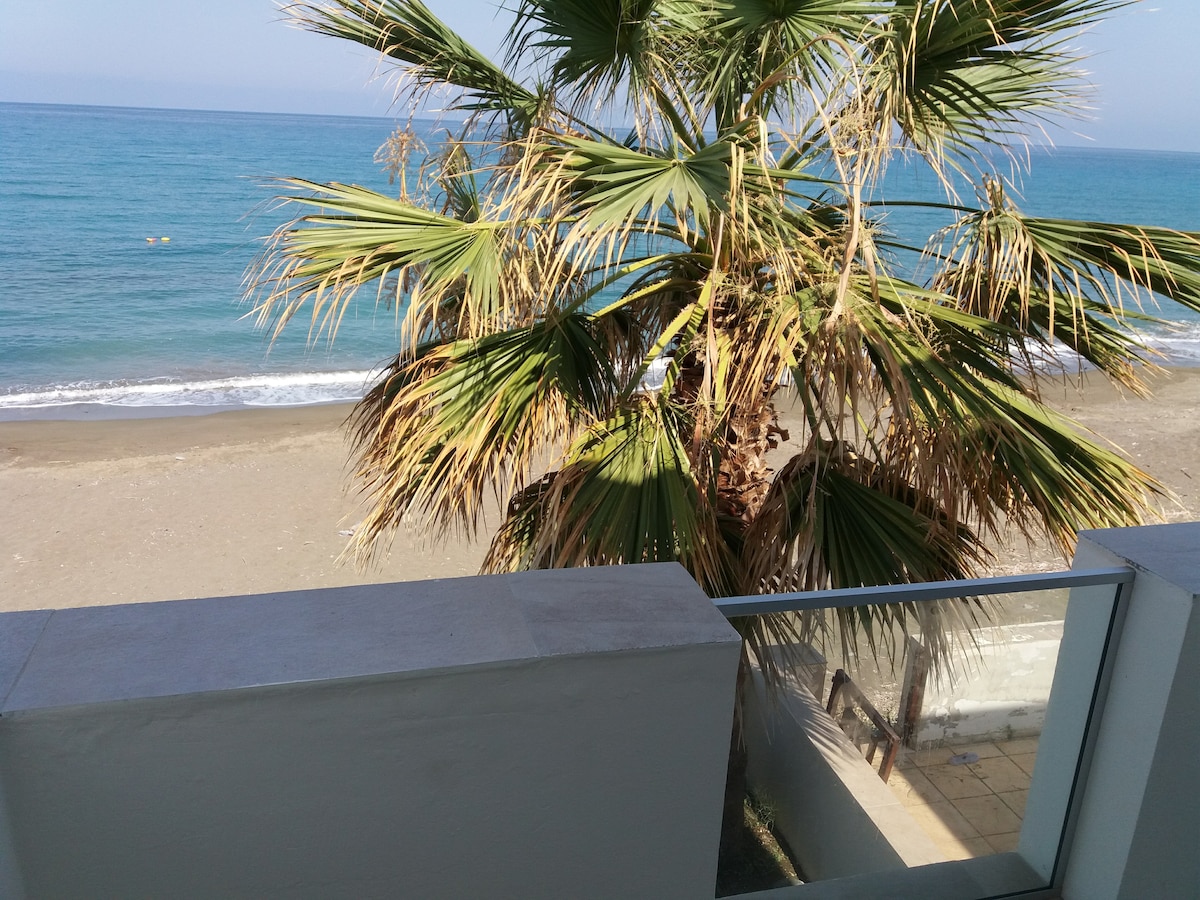 A clear view of the sandy beach and turquoise sea is framed by a palm tree. The soft waves can be seen lapping the shore, with a portion of a balcony railing visible in the foreground, indicating proximity to the water.