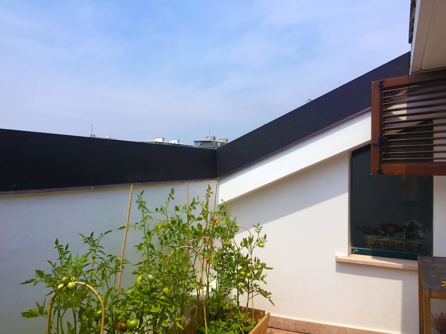Balcone della mansarda