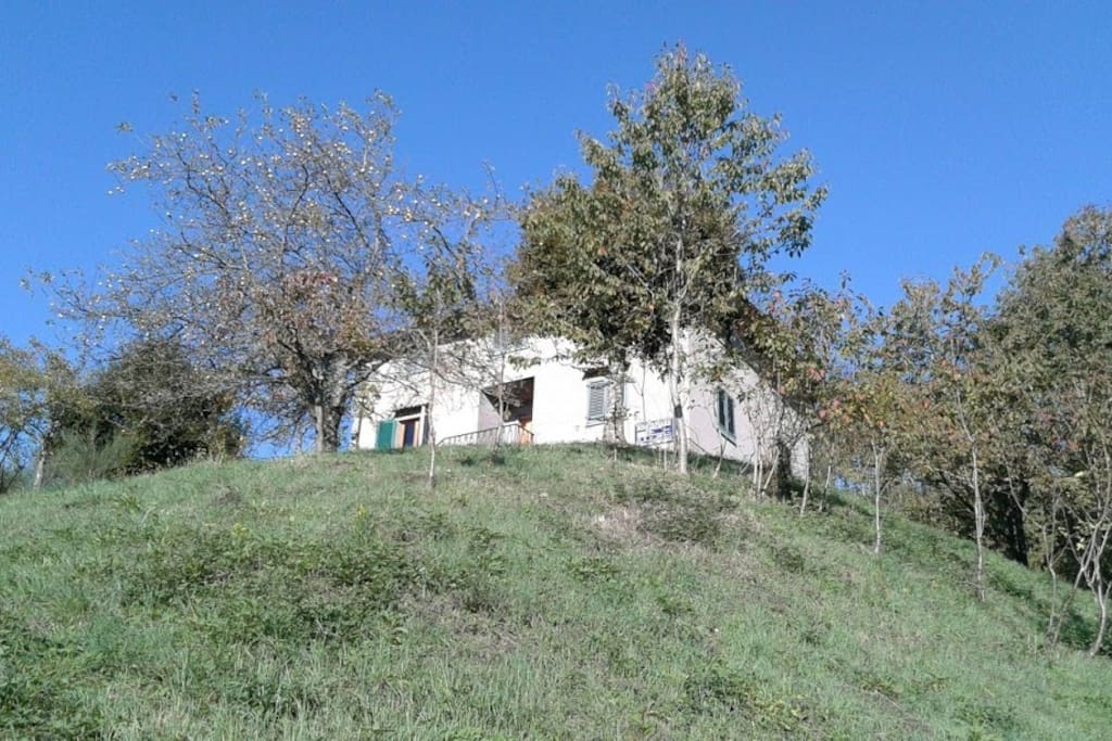 La casa vista dalla strada fra meli, carpini, peri e ciliegi
