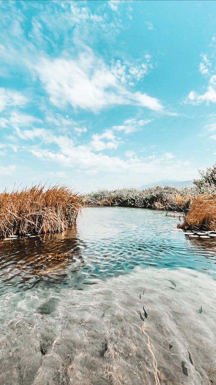 A serene waterway is surrounded by tall grasses and subtle vegetation under a bright blue sky. The clear water reveals textures and colors at the bottom, reflecting the natural landscape that extends into the distance.