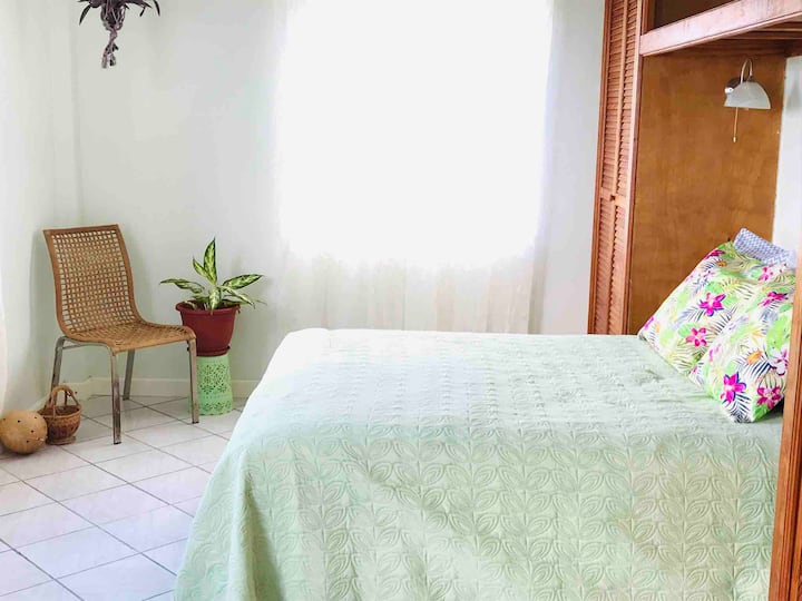 Jack n Jill chumba cha kulala cha vyumba viwili. Chumba cha Botaniki 