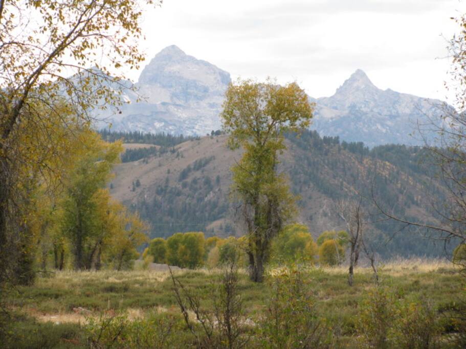 View from Front Porch!