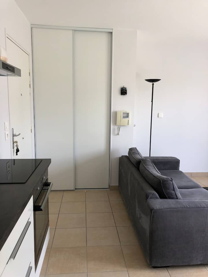 Appartement Entier Au Calme,  Climatisé & Garage - Tassin-la-Demi-Lune