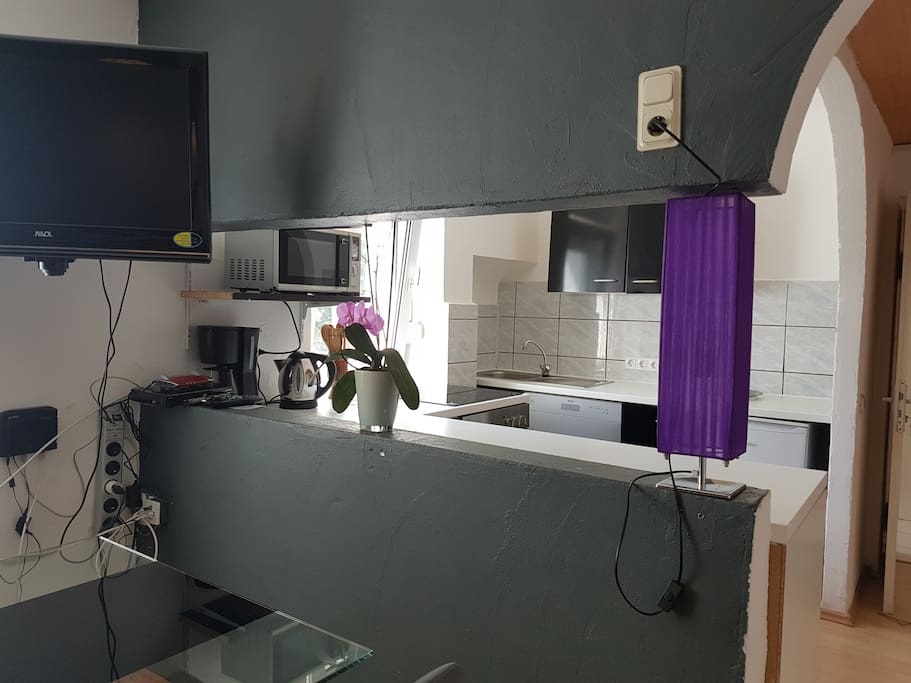 Single wohnung dillingen