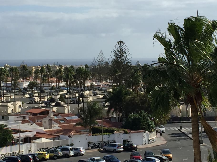 views from terrace