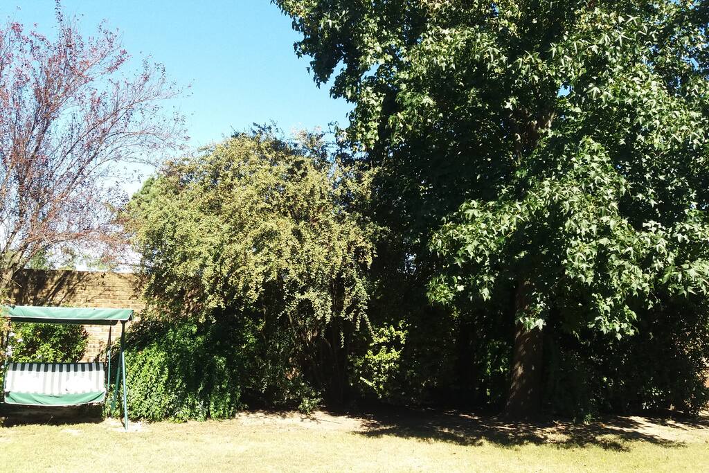 jardín trasero - back garden