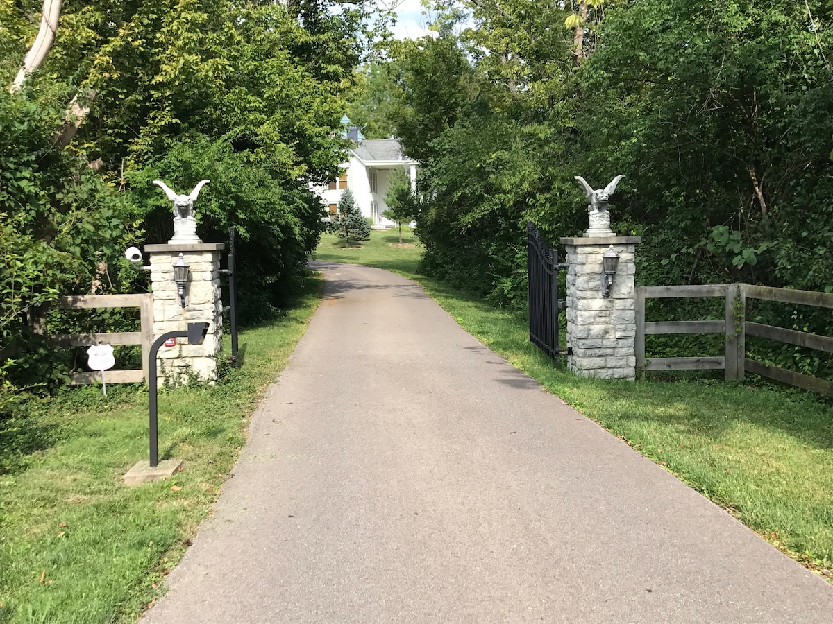 A tree-lined driveway leads to a gated entrance, flanked by stone pillars featuring eagle sculptures. Beyond the gates, glimpses of the guest house and lush greenery are visible, creating a serene atmosphere as it invites guests into the property.