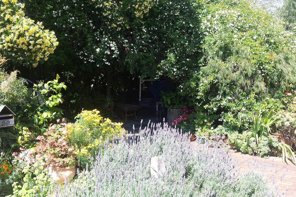 Front garden