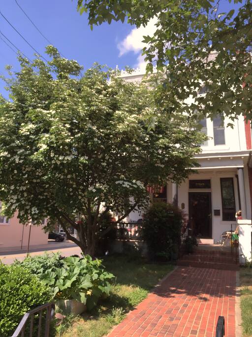 Kensington Manor in Summer