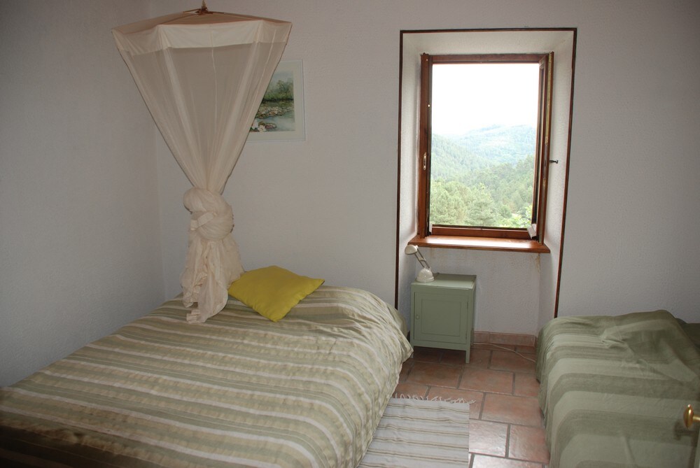 Მეორე პალატა