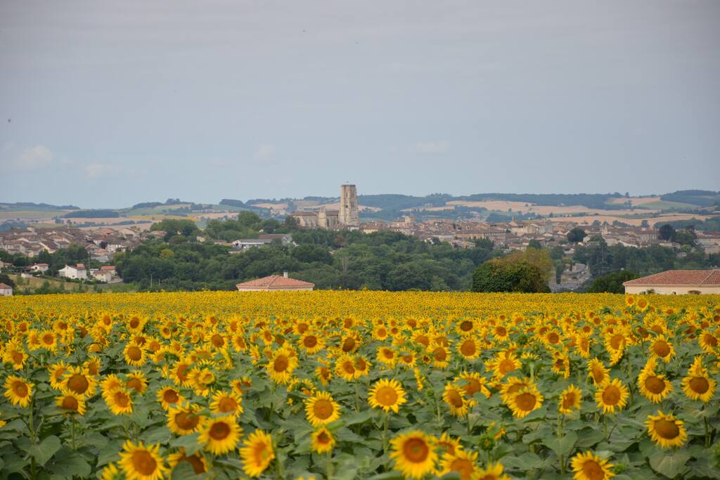 Vue sur Lectoure, prise depuis chez nous un certain jour de juillet 2015