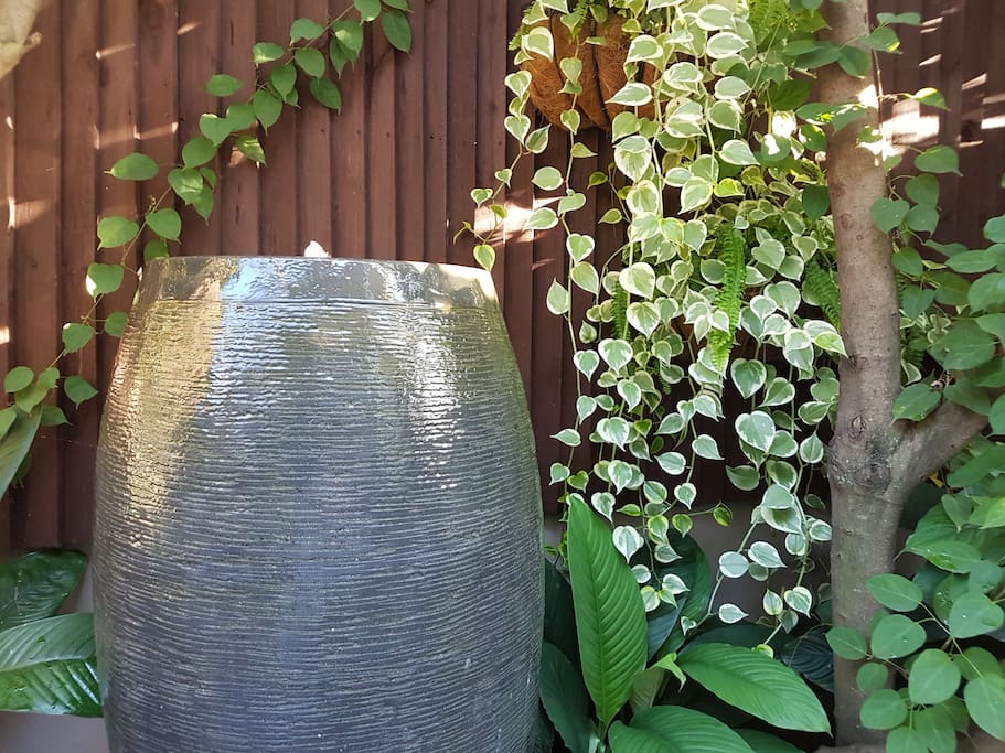 Beautiful outdoor area