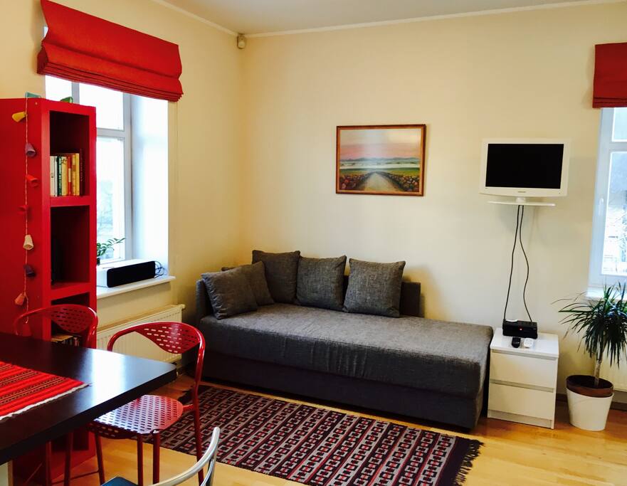 Couch that opens easily into full sized double bed, there's also tv and wifi.