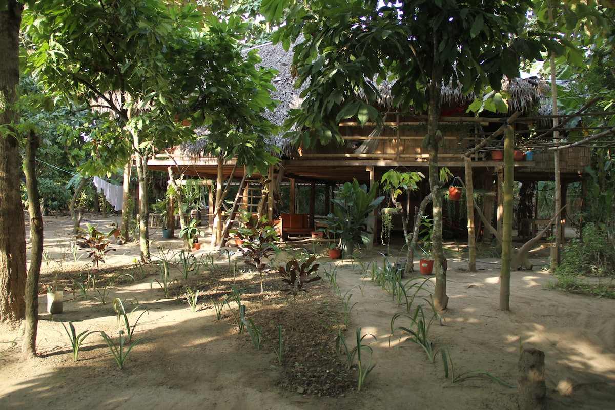 A shaded garden area is surrounded by lush greenery and wooden structures. The ground is sandy, with various plants and trees creating a natural, serene environment. The elevated house features a thatched roof, with visible wooden columns supporting the structure.