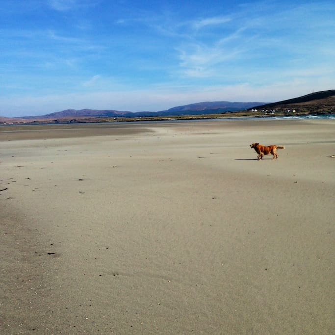 Beach when the tide is out