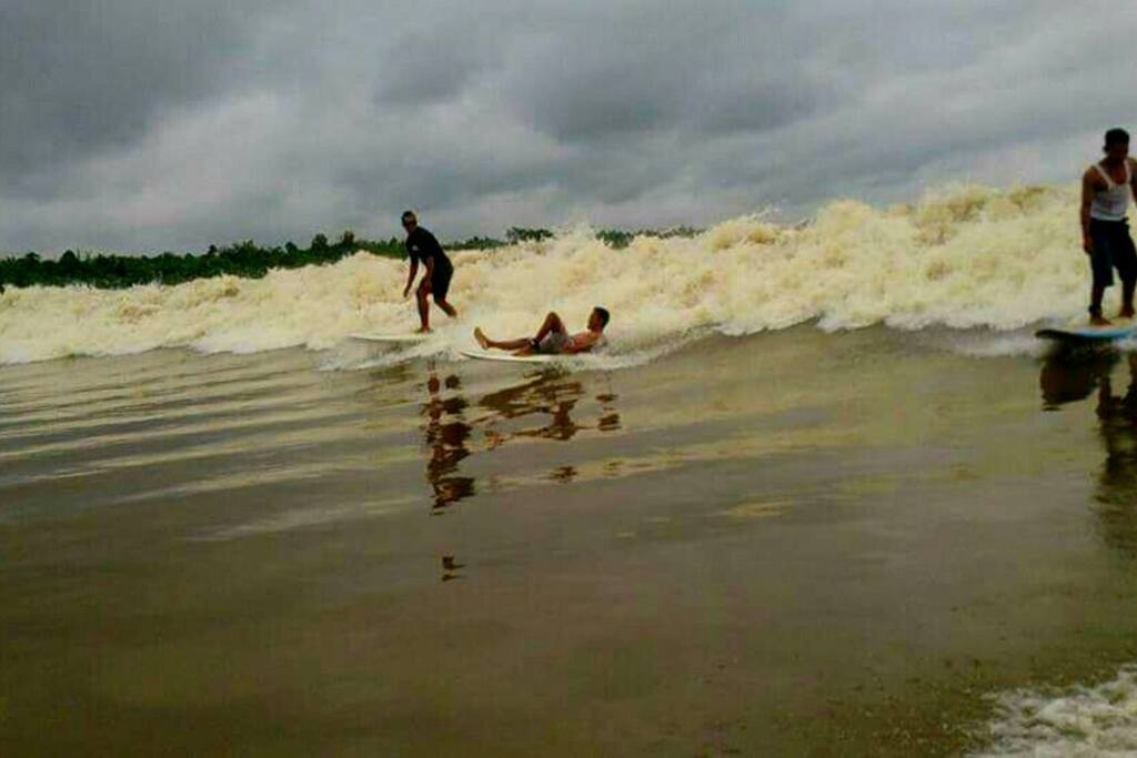 Surving on the river - Bono wave