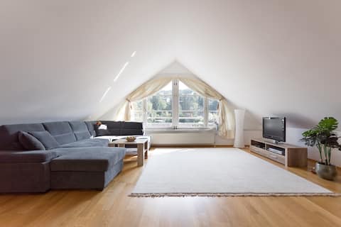 Popular Airbnb listing: Top Floor Apartment in Charming Old Villa in Döbling