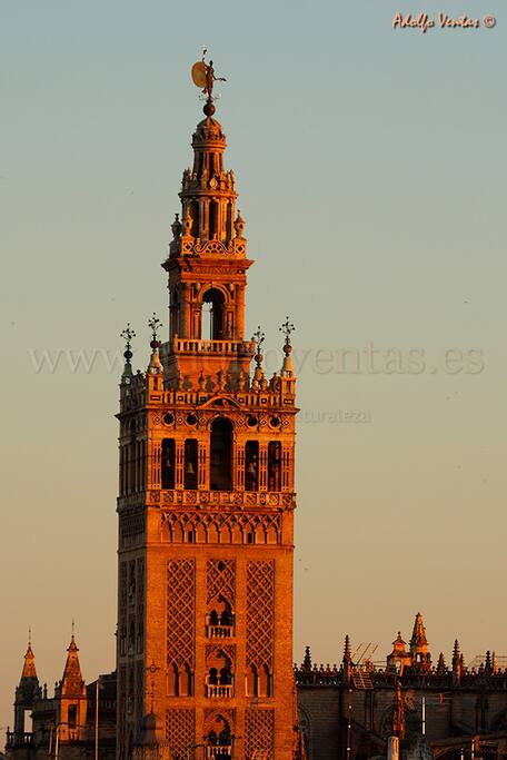 La Giralda, dorada con la luz del atardecer.