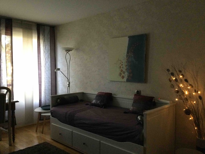 平底锅床，并排提供2张单人床 