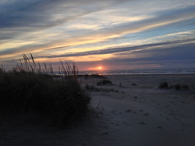 New Owner-Stunning Oceanfront Studio Condo!- #205