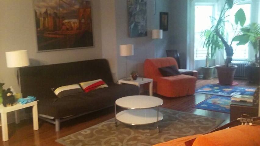 NYC 2500 sq ft home by Prospect subway 2 & 5 train gallery image 2