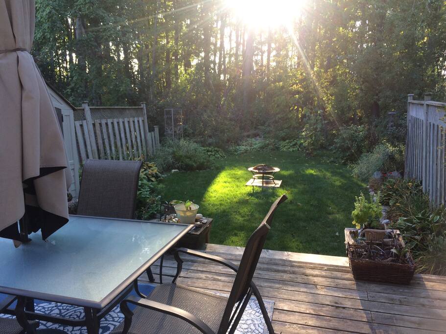 Backyard, Fall.
Zen.