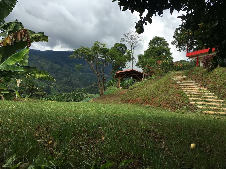 picnic (zona común)