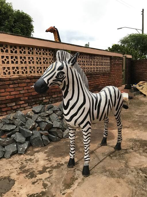 and zebra!