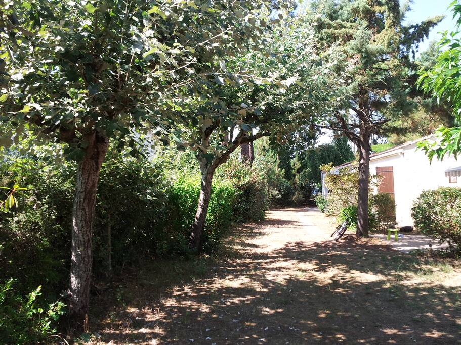 L'allée qui mène à l'annexe...