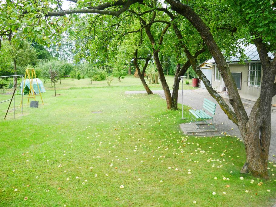 Widok na wyjście na ogród (view on garden)