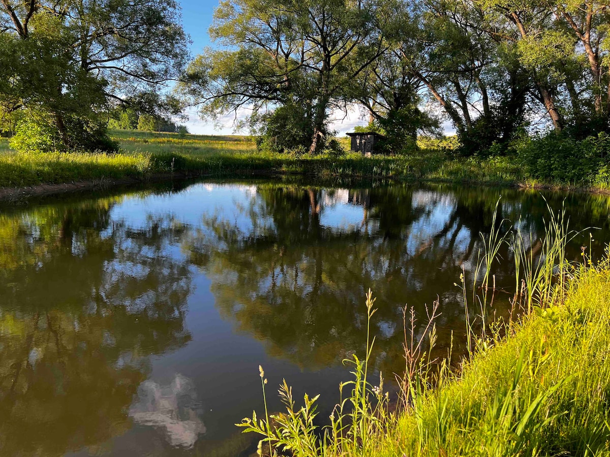 A tranquil pond reflects the surrounding greenery and blue sky, framed by tall grasses and trees. Sunlight creates a gentle shimmer on the water's surface, while a small structure is visible in the background among the foliage.