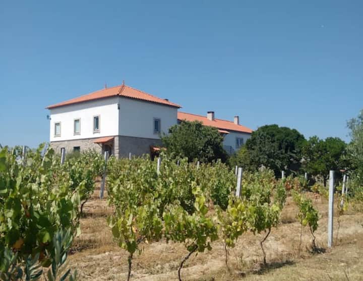 Quinta de Vodra Family Groups