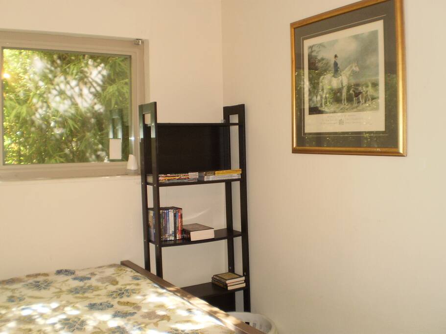 Bookshelves & Wall Paintings